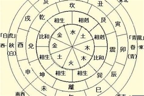 甲木和乙木|八字五行性质分析之甲乙木 八字中甲乙木详解